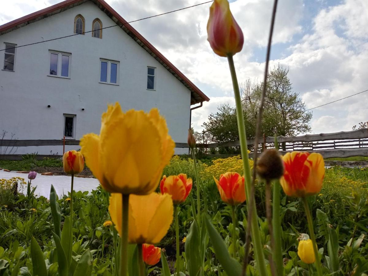 Zakatek Szczescia Eko Agroturystyka Kiwity 외부 사진