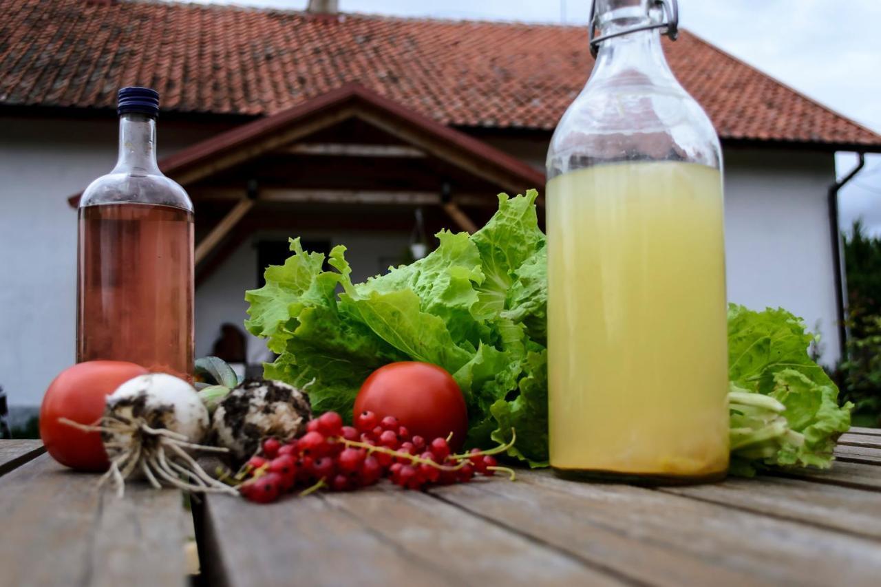 Zakatek Szczescia Eko Agroturystyka Kiwity 외부 사진