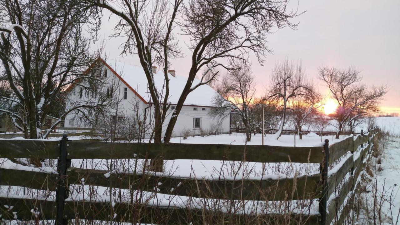 Zakatek Szczescia Eko Agroturystyka Kiwity 외부 사진